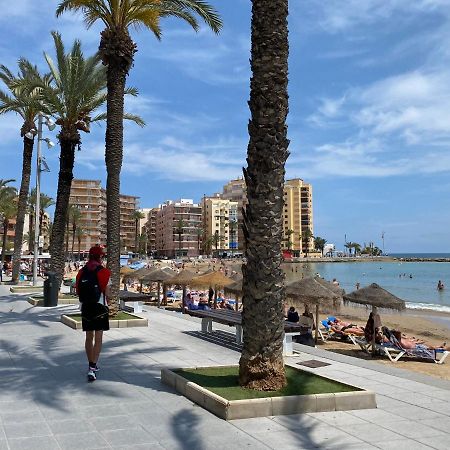 Appartement Torrevieja Alicante Eksteriør billede