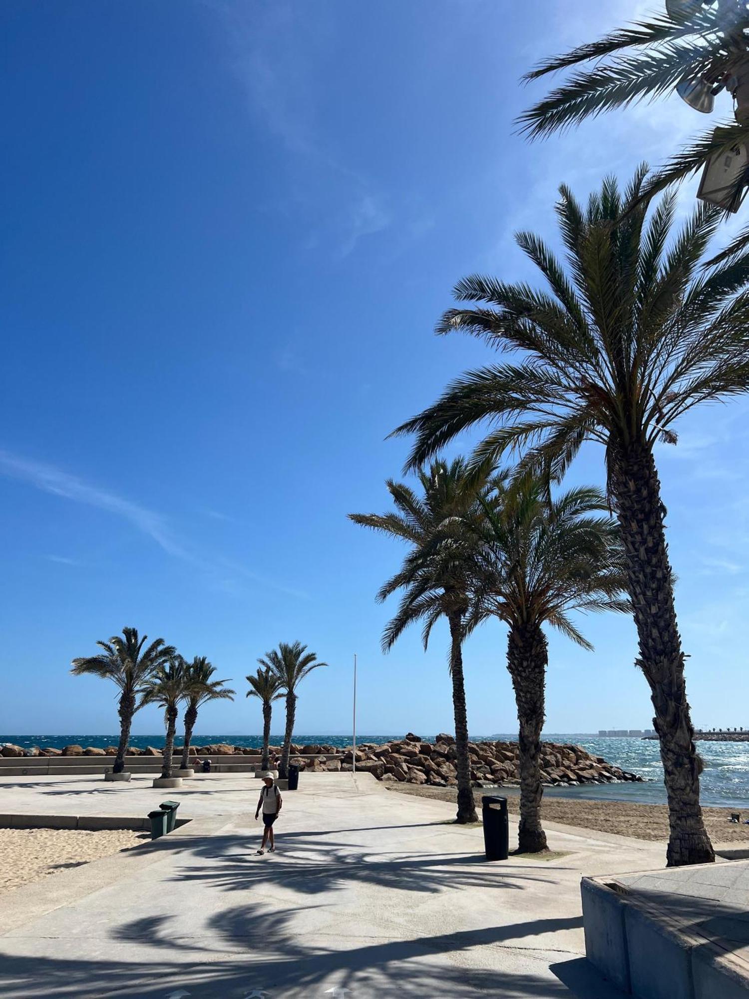 Appartement Torrevieja Alicante Eksteriør billede